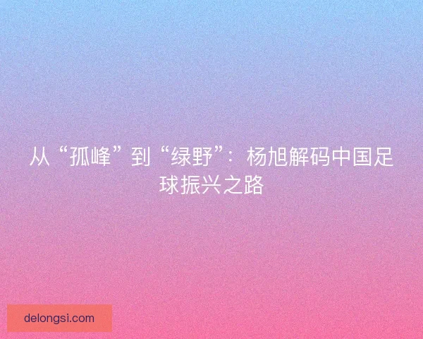 从 “孤峰” 到 “绿野”：杨旭解码中国足球振兴之路